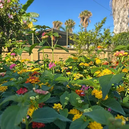 Βίλα San Leone Con Giardino *